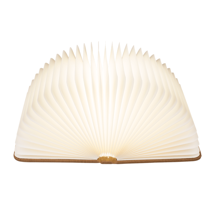 LED-Stimmungsleuchte, Buch, ca.17 x 13 cm,