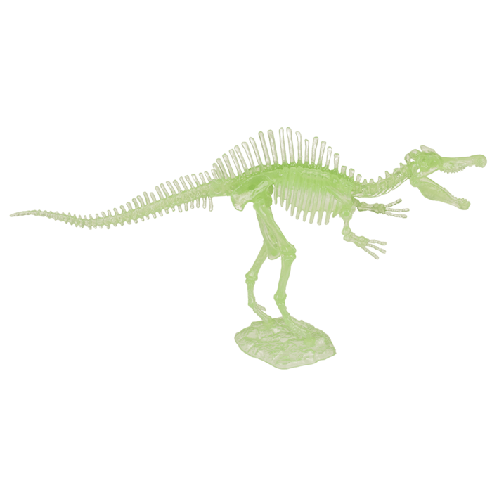 DIY Dinosaurier-Skelett-Bausatz, ca. 10 cm,