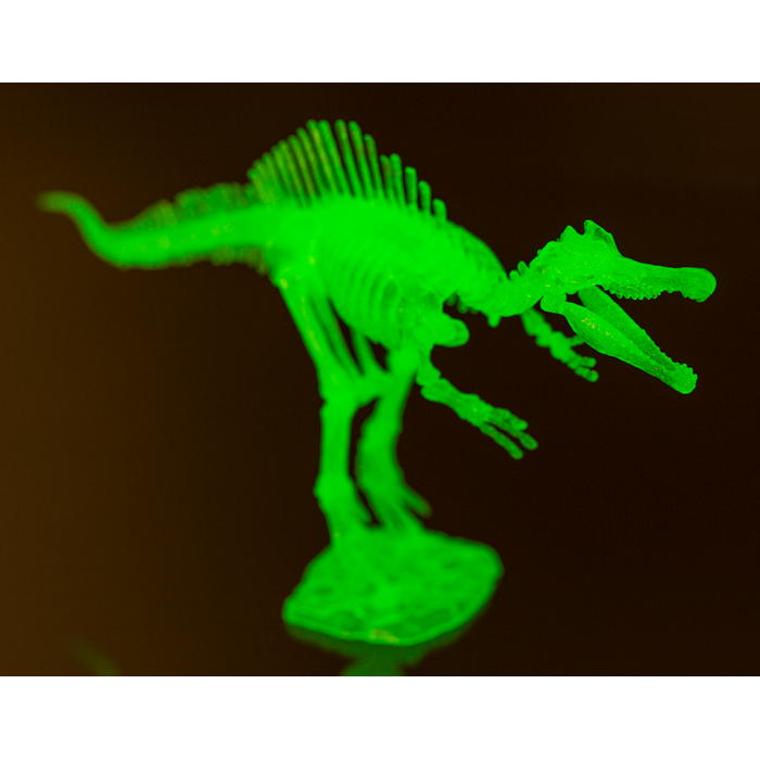 DIY Dinosaurier-Skelett-Bausatz, ca. 10 cm,