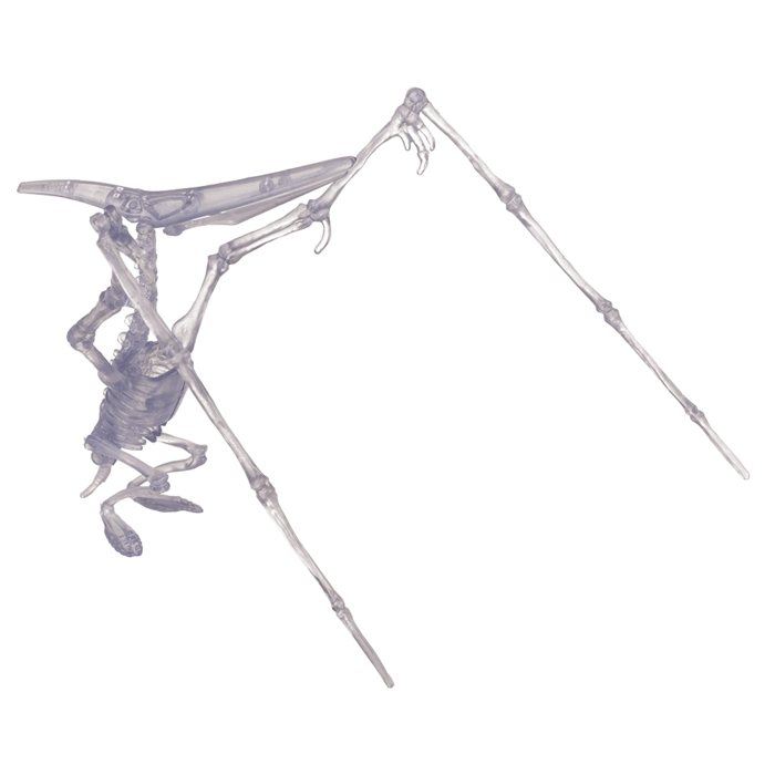 DIY Dinosaurier-Skelett-Bausatz, ca. 10 cm,
