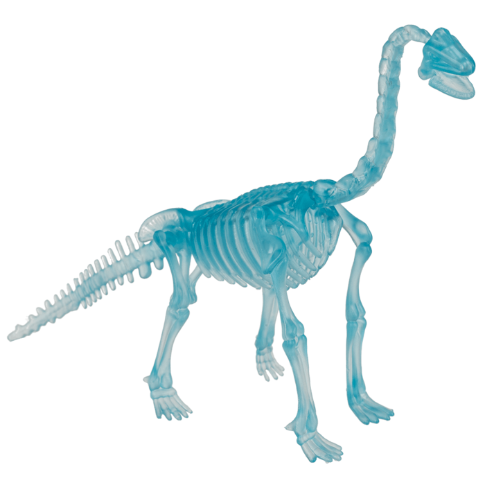 DIY Dinosaurier-Skelett-Bausatz, ca. 10 cm,