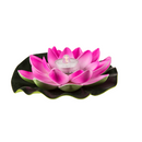 Schwimmende Seerose mit warmweißer LED