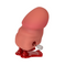 Aufziehbarer, hüpfender Penis, ca. 7 x 3 cm,
