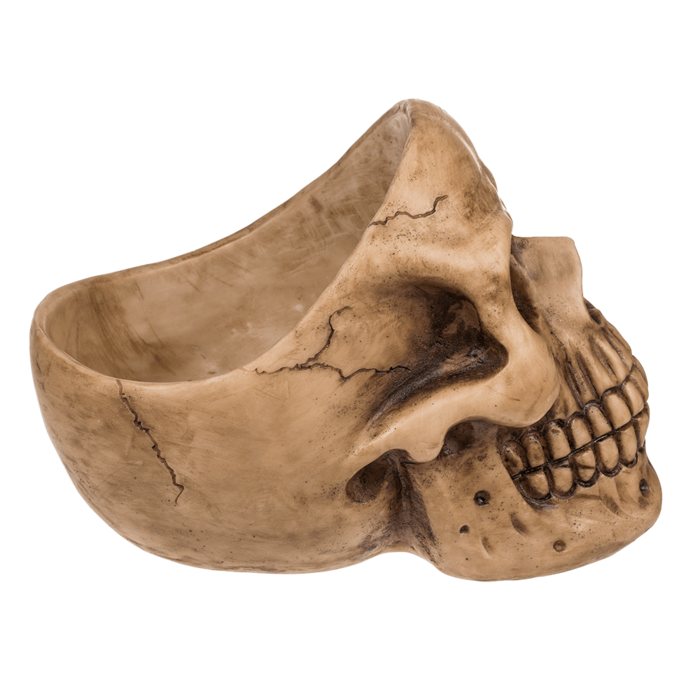 Totenkopf-Organizer, mit Brillenhalter und