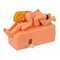 Aufziehbare Peep-Show,