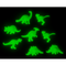 3D-Dinosaurier, Glow in the Dark,