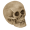 Deko-Totenkopf mit roten LED-Augen,