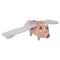 Fliegendes Schwein, 28,5 x 7 x 20 cm,
