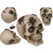 Spardose mit Schloss, Totenkopf mit Spinnen,