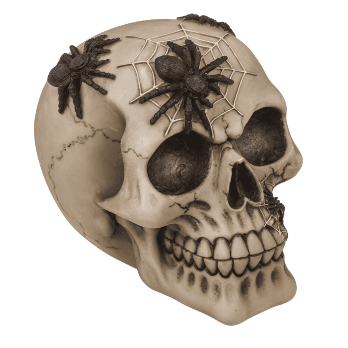 Spardose mit Schloss, Totenkopf mit Spinnen,