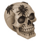 Spardose mit Schloss, Totenkopf mit Spinnen,