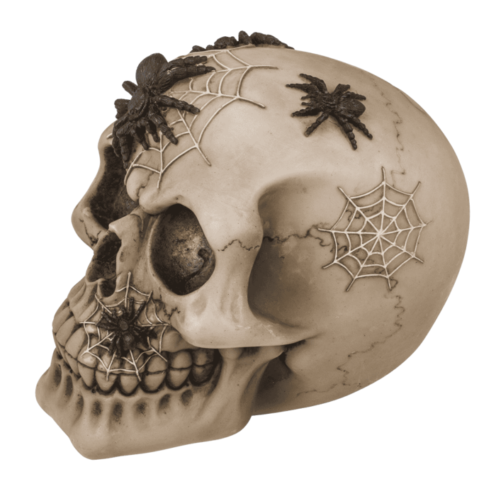 Spardose mit Schloss, Totenkopf mit Spinnen,