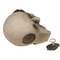 Spardose mit Schloss, Totenkopf mit Spinnen,