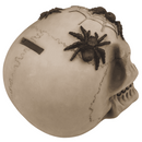 Spardose mit Schloss, Totenkopf mit Spinnen,
