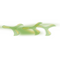 Boomerang, Reichweite 8-12m,