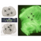 Spinnennetz, Glow in the Dark, inkl. 4 Spinnen,