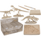 Ausgrabungsset, Dinosaurier Skelett,