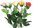 Rose geschlossene Blüte 68cm extralang 5 Farben