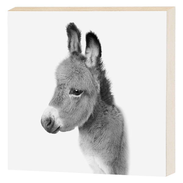 [CEP-67342] Bild zum stellen, Esel, 15x15cm