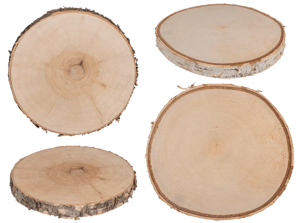 Deko-Holzscheibe, D: ca. 15 cm,