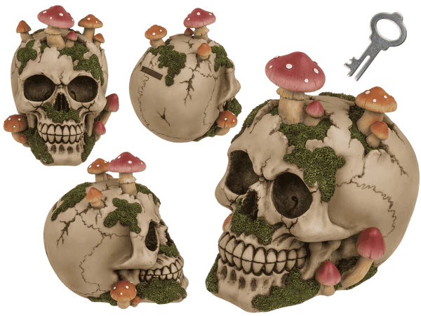 Spardose mit Schloss, Totenkopf mit Pilzbewuchs,