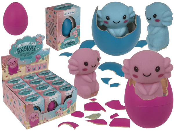 Wachsendes Ei, Axolotl,