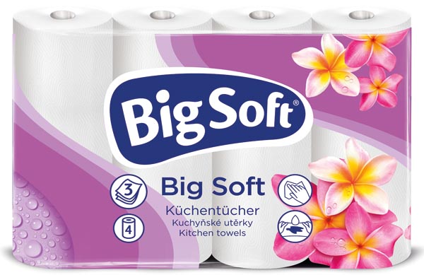 Big Soft Haushaltsrolle 3-lagig 4x45Blatt 25,5cm