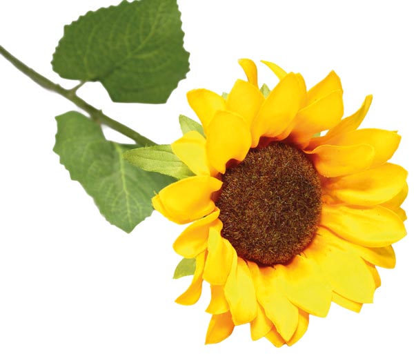 [WERM-50929] Sonnenblume XL, 13x47cm, liebevoll und filigran