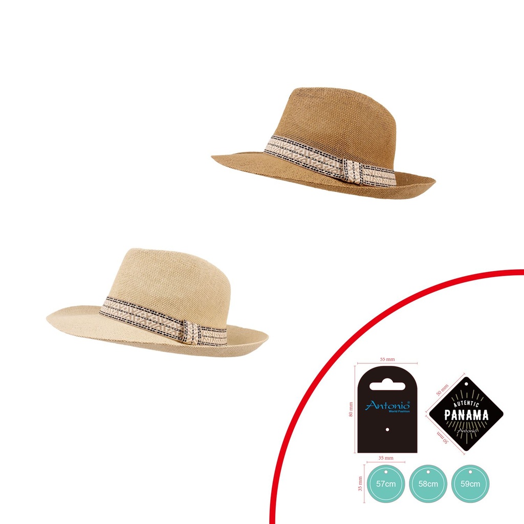 Sommer Hut Panama Fashion