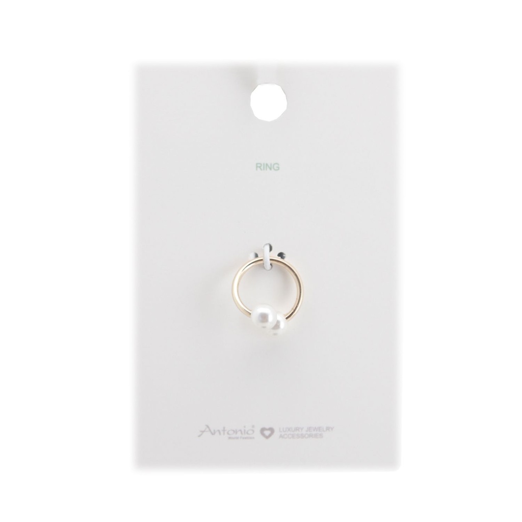 [64.20004.99] Ringe