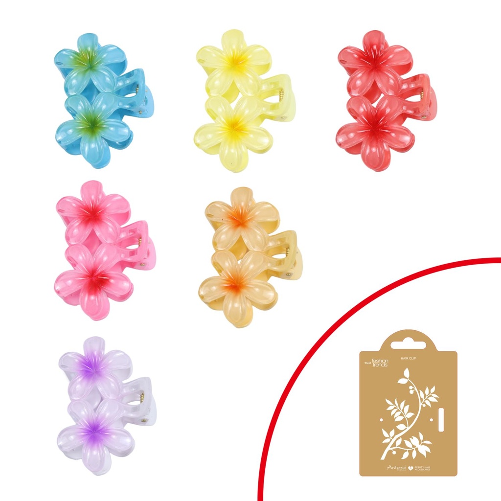 Haarklammer 2 Kleine Bunte Tropische Blume