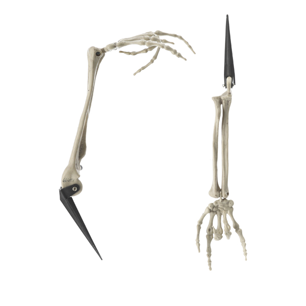[CEP-66451] Knochen, Hand, Erdspieß, ca. 50cmL