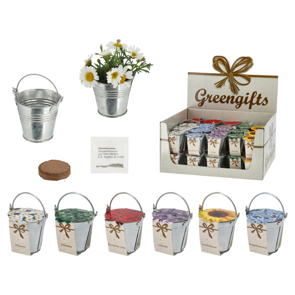 [CEP-69490] Zinkeimer mini mit Kokosquellpad und Samen, Blumen, 6/s